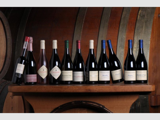 PROWEIN 2016. HALL 11. D/110