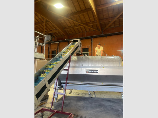 LE CHARDONNAY EST ARRIVE !