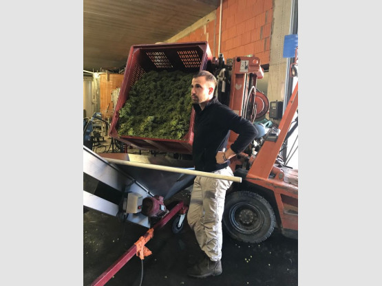 Lancement Vendanges 2018 !