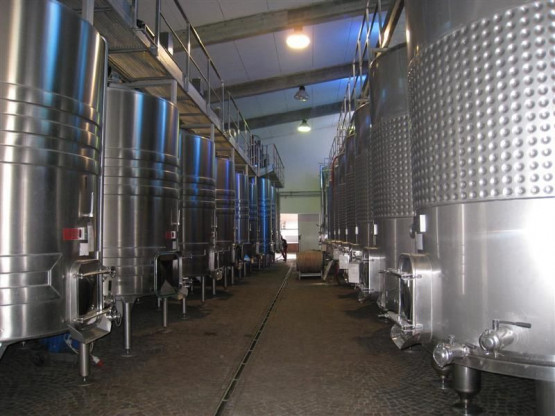 Trip to Italy - August 2009