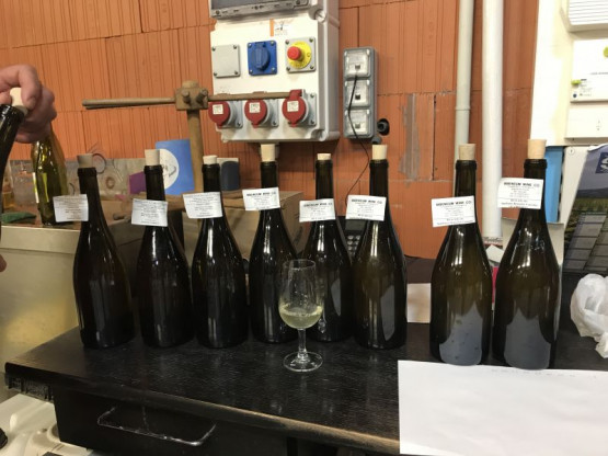 PREMIER STADE ELABORATION DES CREMANTS