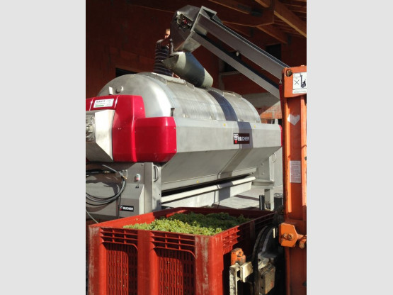 DEBUT DES VENDANGES 25 AOUT 2015