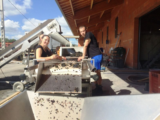 Selecting reduced to the minimum