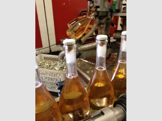 DU CRÉMANT DE BOURGOGNE  ROSE POUR LA RENTRÉE !