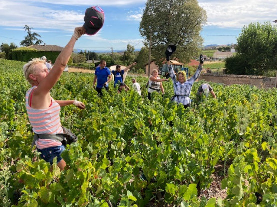 Les vendanges se poursuivent...