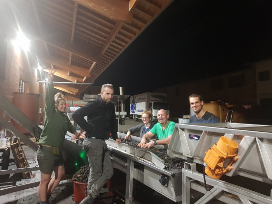 Un millésime modeste en quantité mais ambitieux en qualité