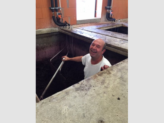 DE LA VIGNE AU VERRE 7 SEPTEMBRE 2015