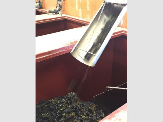 DE LA VIGNE AU VERRE 7 SEPTEMBRE 2015