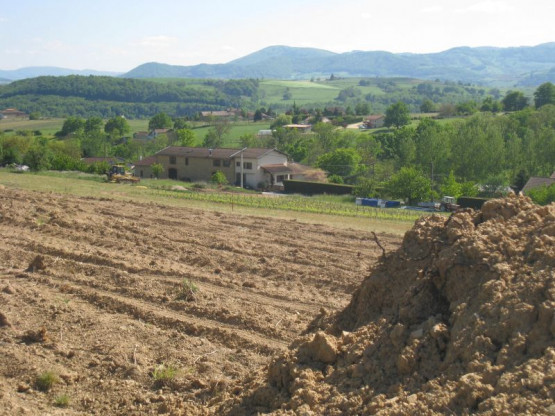 ARRACHAGE-TERRASSEMENT FUTUR CUVAGE-NOUVELLES VIGNES MAI JUIN 2014