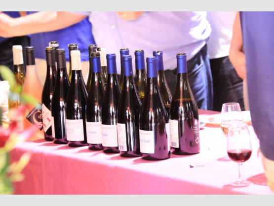 Dégustation 2017 en images