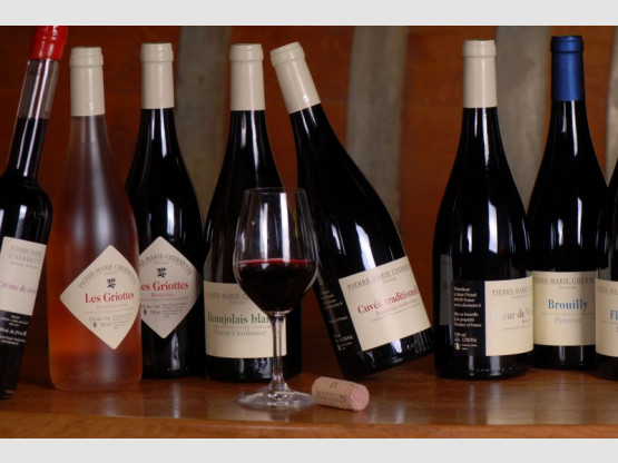 Salon Culture et Vins de France