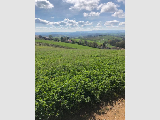 MAGNIFIQUES PANORAMAS HAUT DE SAINT VERAND
