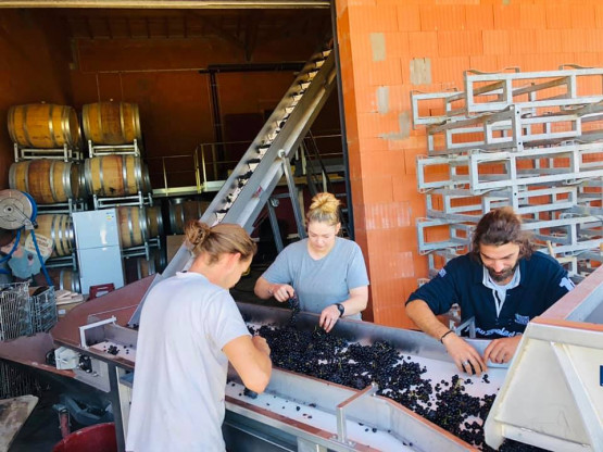 Un travail manuel...