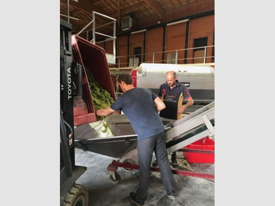 Les Crémants lancent des vendanges 2017 les 26 et 27 Août