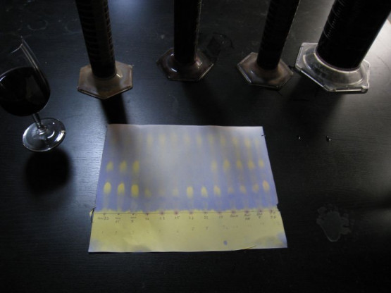 LES FERMENTATIONS MALO-LACTIQUES SE TERMINENT - 12 OCTOBRE 2015