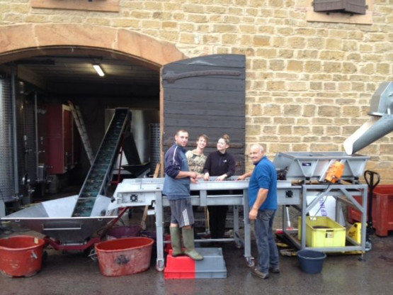 BEAUJOLAIS PRIMEUR WHICH PROMISES A VERY GOOD VINTAGE 2013 IN BEAUJOLAIS