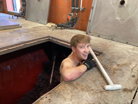 C'EST LE TEMPS DES DECUVAGES, LES DEUX FRERES A L'OEUVRE