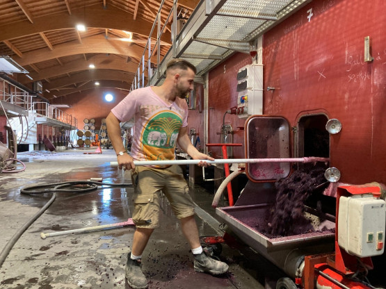 C'EST LE TEMPS DES DECUVAGES, LES DEUX FRERES A L'OEUVRE