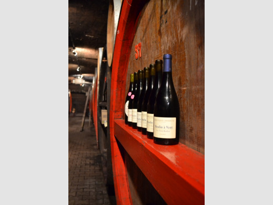 Profitez du confinement en dégustant les vins du Beaujolais !