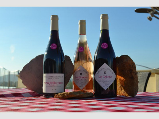 LES BEAUJOLAIS PRIMEURS