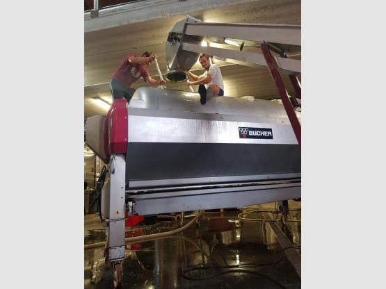 Begining of the harvest