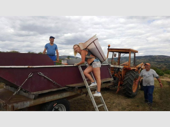 HARVEST 2017 : Beaujolais from September 1st to 21st