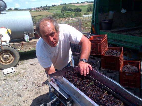 Domaine du Vissoux : July 2012 (2/2)