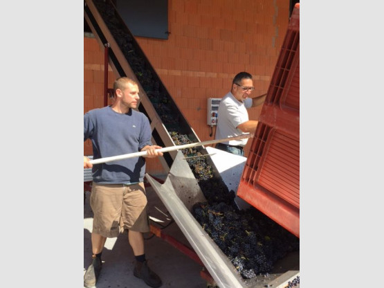 DE LA VIGNE AU VERRE 7 SEPTEMBRE 2015