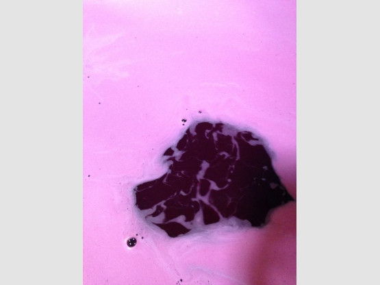 LES VENDANGES S’ACHÈVENT  22 SEPTEMBRE 2015