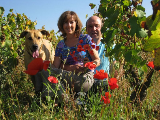 Le nouveau millésime - 3 octobre 2011