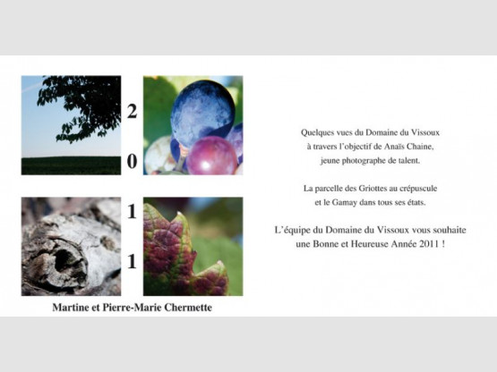 Nous vous souhaitons un Joyeux Noël et une Bonne Année !