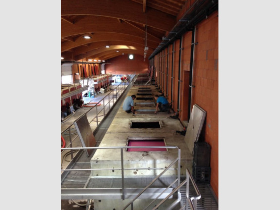 LES VENDANGES S’ACHÈVENT  22 SEPTEMBRE 2015