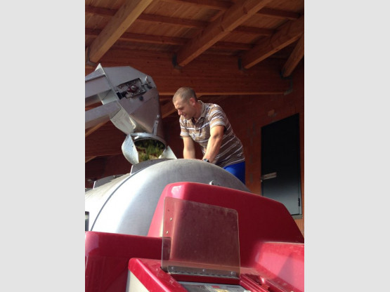 DEBUT DES VENDANGES 25 AOUT 2015