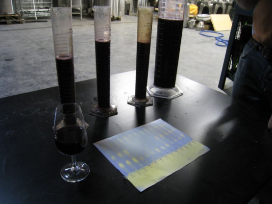 LES FERMENTATIONS MALO-LACTIQUES SE TERMINENT - 12 OCTOBRE 2015