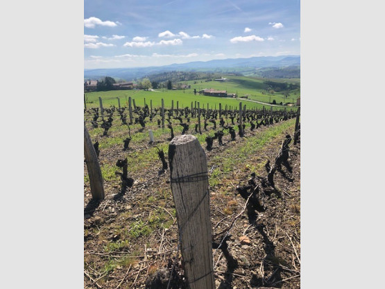 MAGNIFIQUES PANORAMAS HAUT DE SAINT VERAND