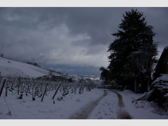 Balades à Saint Vérand Cadoles et Sens 23 et 24 mai