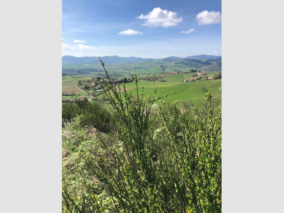 MAGNIFIQUES PANORAMAS HAUT DE SAINT VERAND