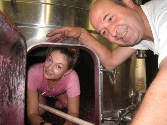 DES PRIMEURS QUI PROMETTENT UN TRES BEAU MILLESIME 2013 EN BEAUJOLAIS