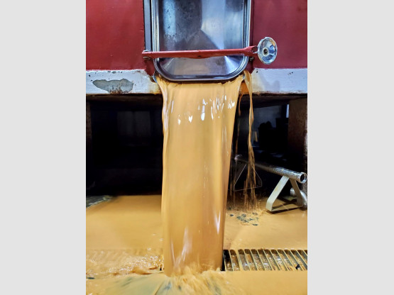 DEBOURBAGE DES CREMANTS DE BOURGOGNE