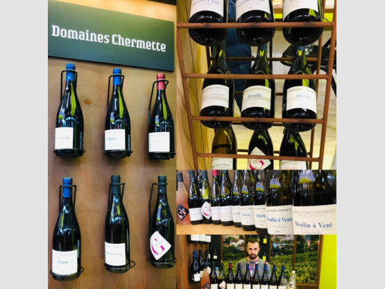 Retour sur VinoVision à Paris