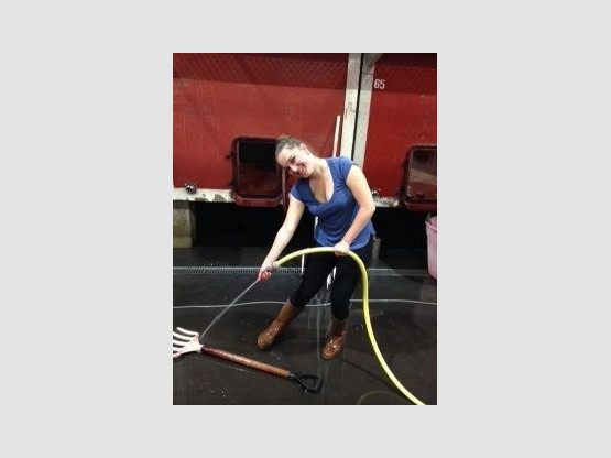 VENDANGES 2016  - LES VINIFICATIONS  SE FEMINISENT !