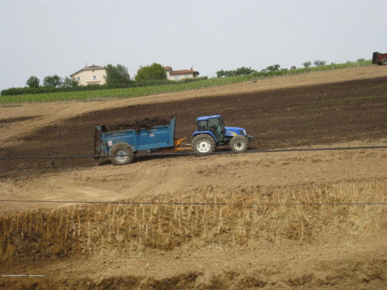 PLANTATION DES NOUVELLES VIGNES DE GAMAY - JUIN 2014