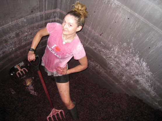 BEAUJOLAIS PRIMEUR WHICH PROMISES A VERY GOOD VINTAGE 2013 IN BEAUJOLAIS