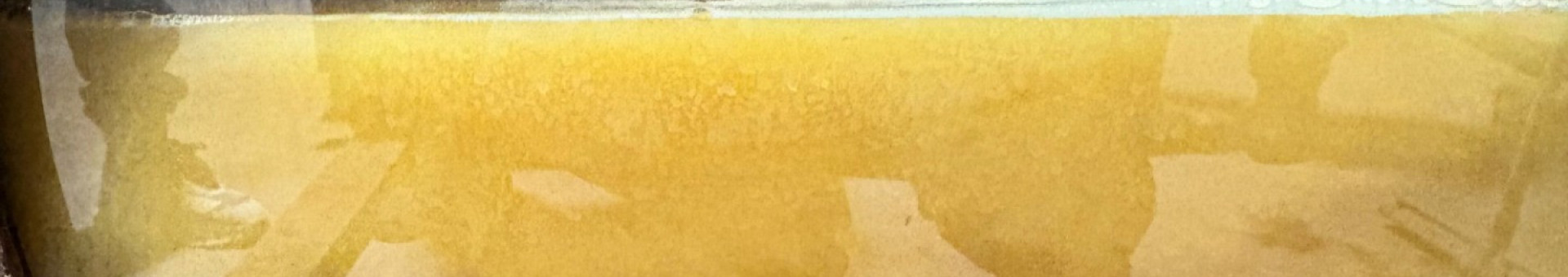 Le Beaujolais Blanc « La Perle du Beaujolais » prend vie…