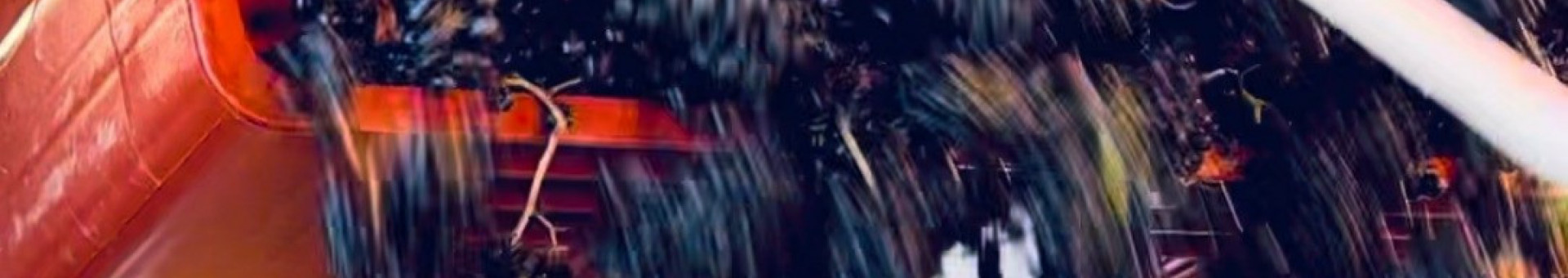 Grape harvest underway in the heart of Pierreux in Brouilly!