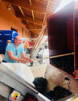 Vendanges 2018 : Moulin-à-Vent