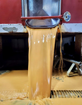 DEBOURBAGE DES CREMANTS DE BOURGOGNE