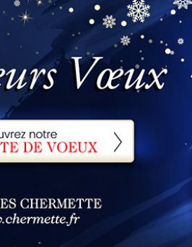 Meilleurs vœux 2018