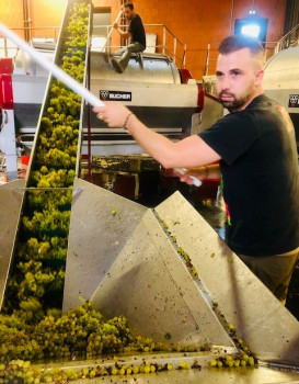 VENDANGES CHARDONNAY