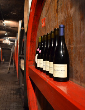 Profitez du confinement en dégustant les vins du Beaujolais !